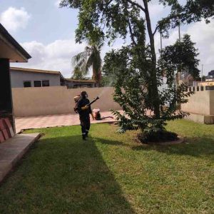 front-yard-tree-fumigation