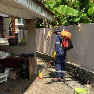 fumigation-home-brush